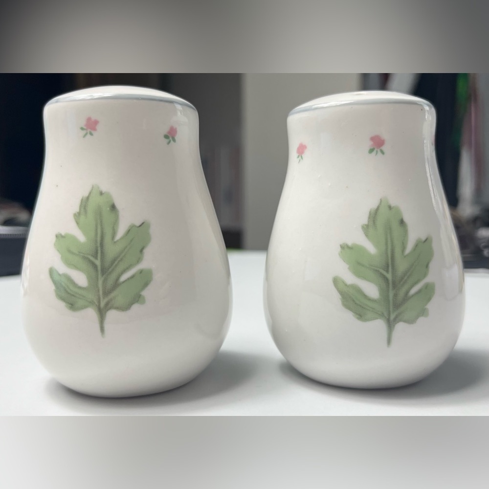 Damon Wood Genuine Stoneware Ceramic Kitchen Green Leaf Salt and Pepper Shaker
